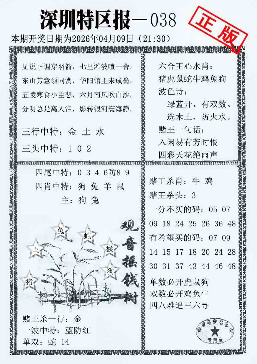 038期深圳特区报A[图]